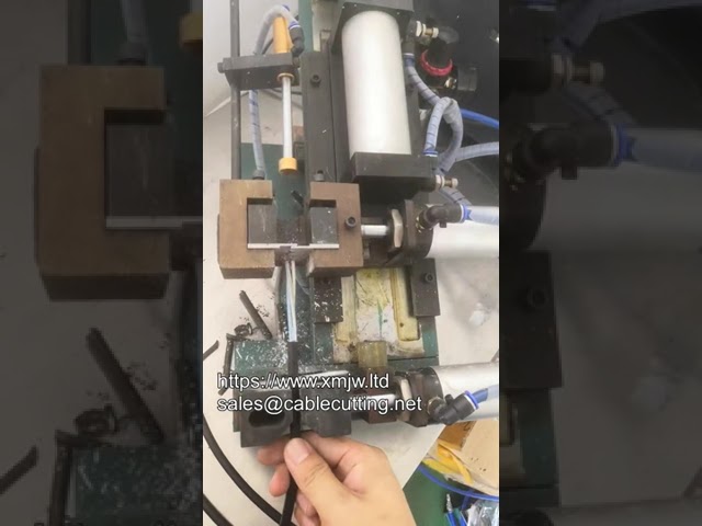 Manufacturer Wholesale Affordable Electric Pneumatic Peeling Machine