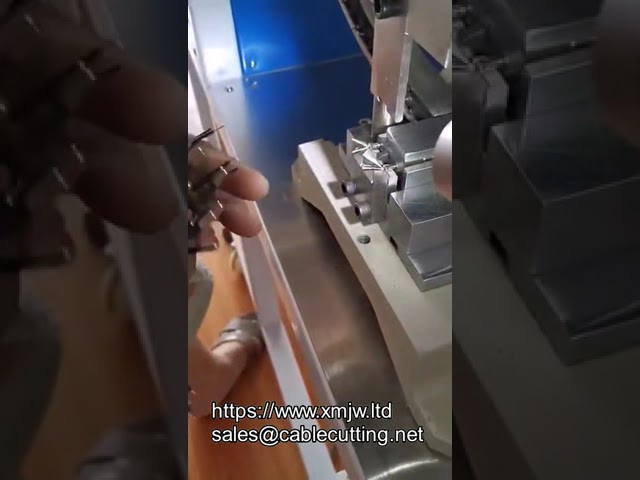 Semi automatic 2pin Insert Plug Crimping Machine