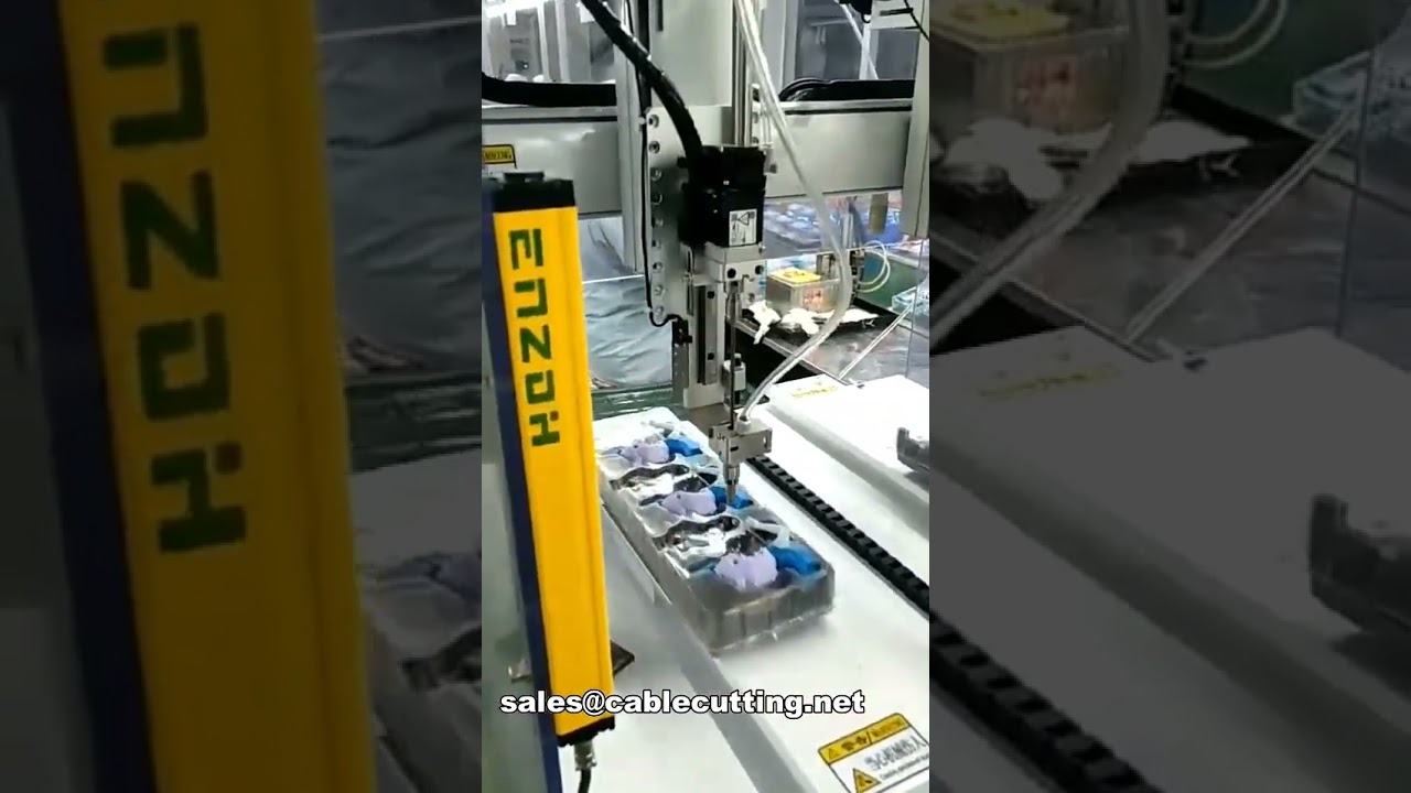 Automatisk bordmontert skruemaskin for leker og elektronikk WPM-4220-2Z
