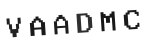 Verification Code Image